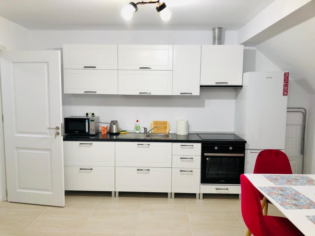 New And Modern Apartments In Villa, Near City Center M36 ティミショアラ エクステリア 写真