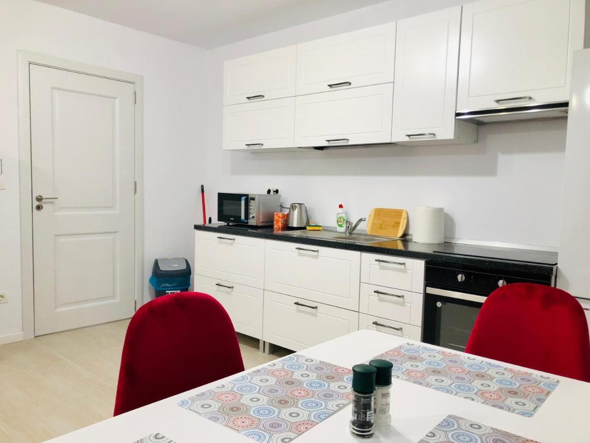 New And Modern Apartments In Villa, Near City Center M36 ティミショアラ エクステリア 写真