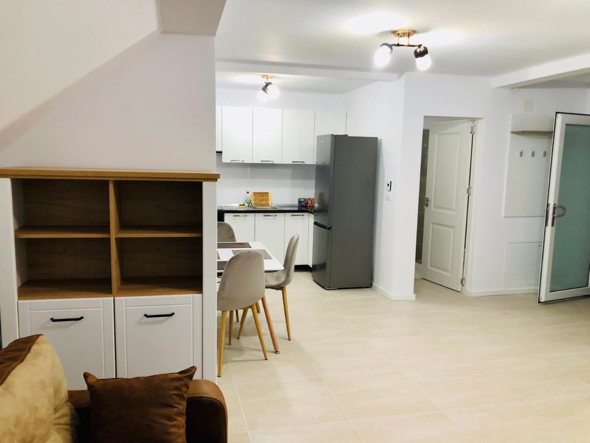 New And Modern Apartments In Villa, Near City Center M36 ティミショアラ エクステリア 写真