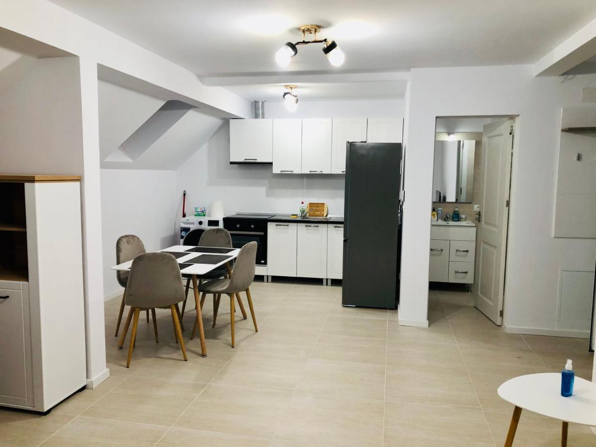 New And Modern Apartments In Villa, Near City Center M36 ティミショアラ エクステリア 写真