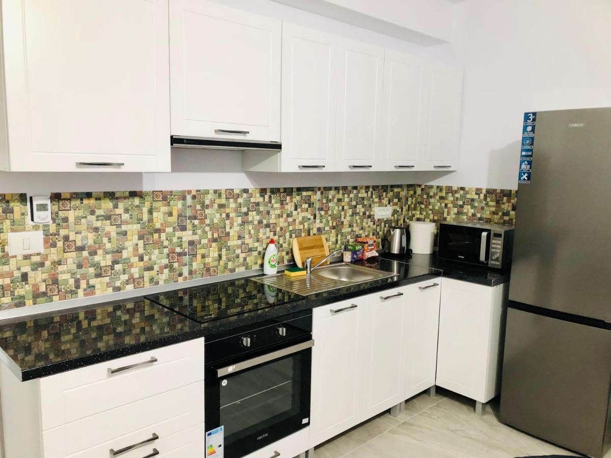 New And Modern Apartments In Villa, Near City Center M36 ティミショアラ エクステリア 写真
