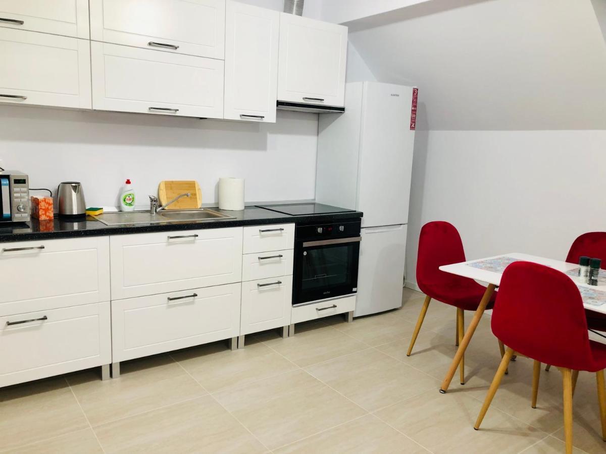 New And Modern Apartments In Villa, Near City Center M36 ティミショアラ エクステリア 写真