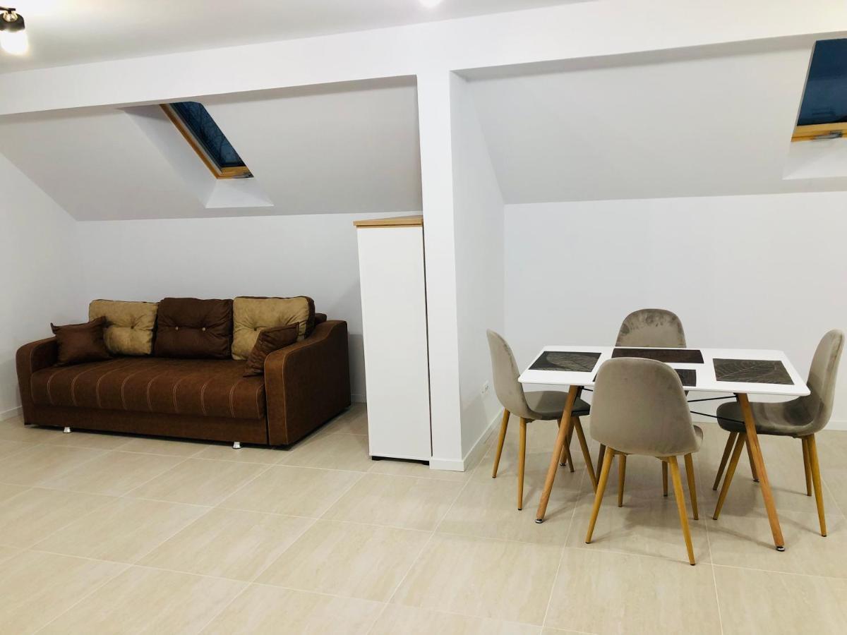 New And Modern Apartments In Villa, Near City Center M36 ティミショアラ エクステリア 写真