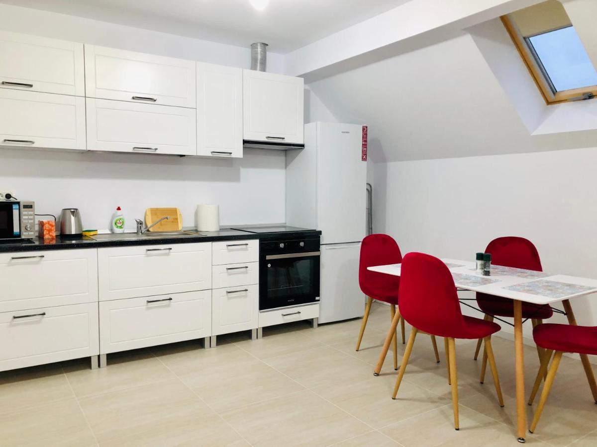 New And Modern Apartments In Villa, Near City Center M36 ティミショアラ エクステリア 写真