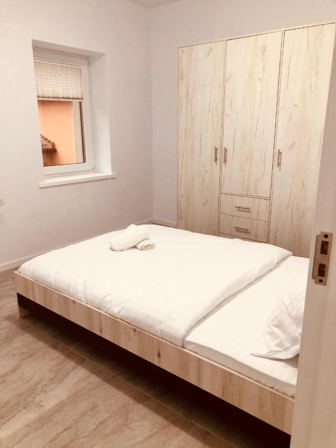 New And Modern Apartments In Villa, Near City Center M36 ティミショアラ エクステリア 写真