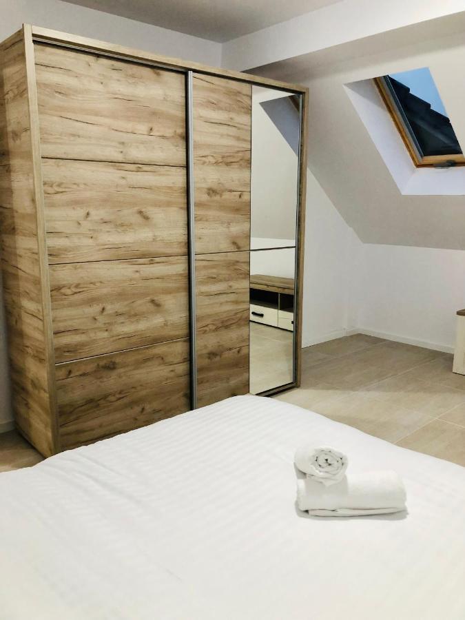 New And Modern Apartments In Villa, Near City Center M36 ティミショアラ エクステリア 写真