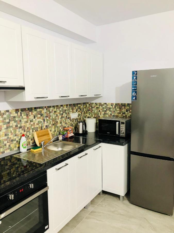 New And Modern Apartments In Villa, Near City Center M36 ティミショアラ エクステリア 写真