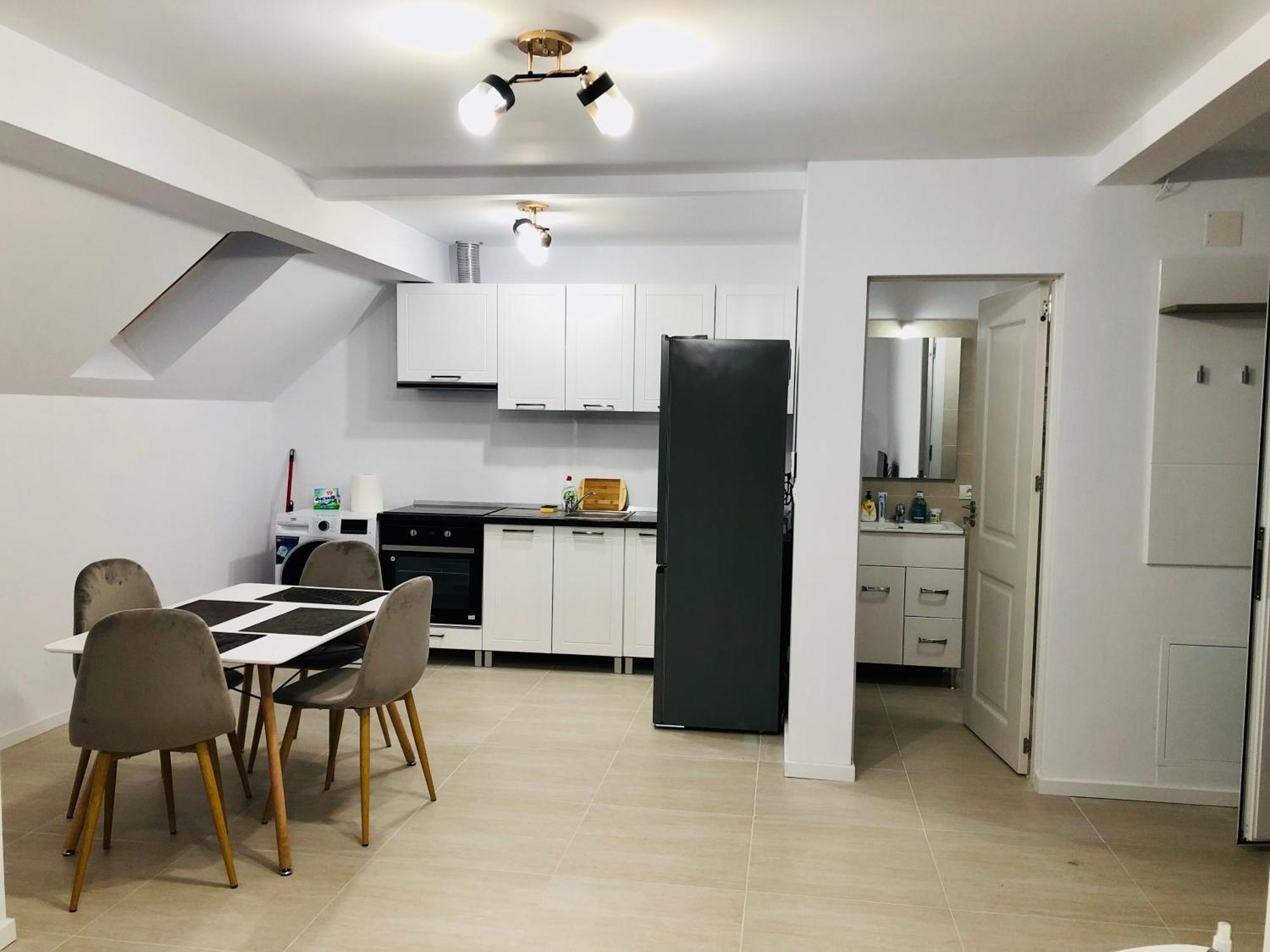New And Modern Apartments In Villa, Near City Center M36 ティミショアラ エクステリア 写真