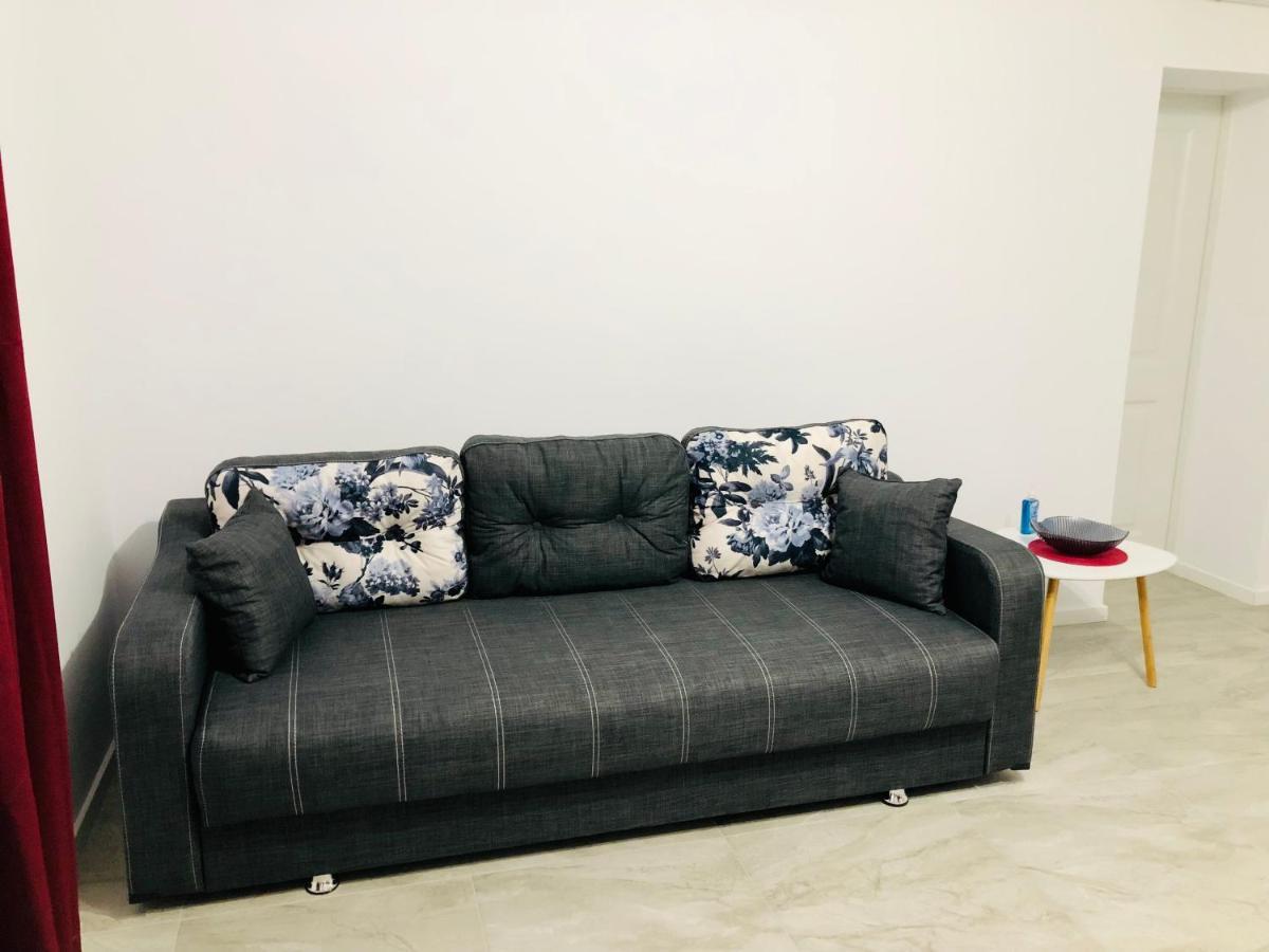 New And Modern Apartments In Villa, Near City Center M36 ティミショアラ エクステリア 写真
