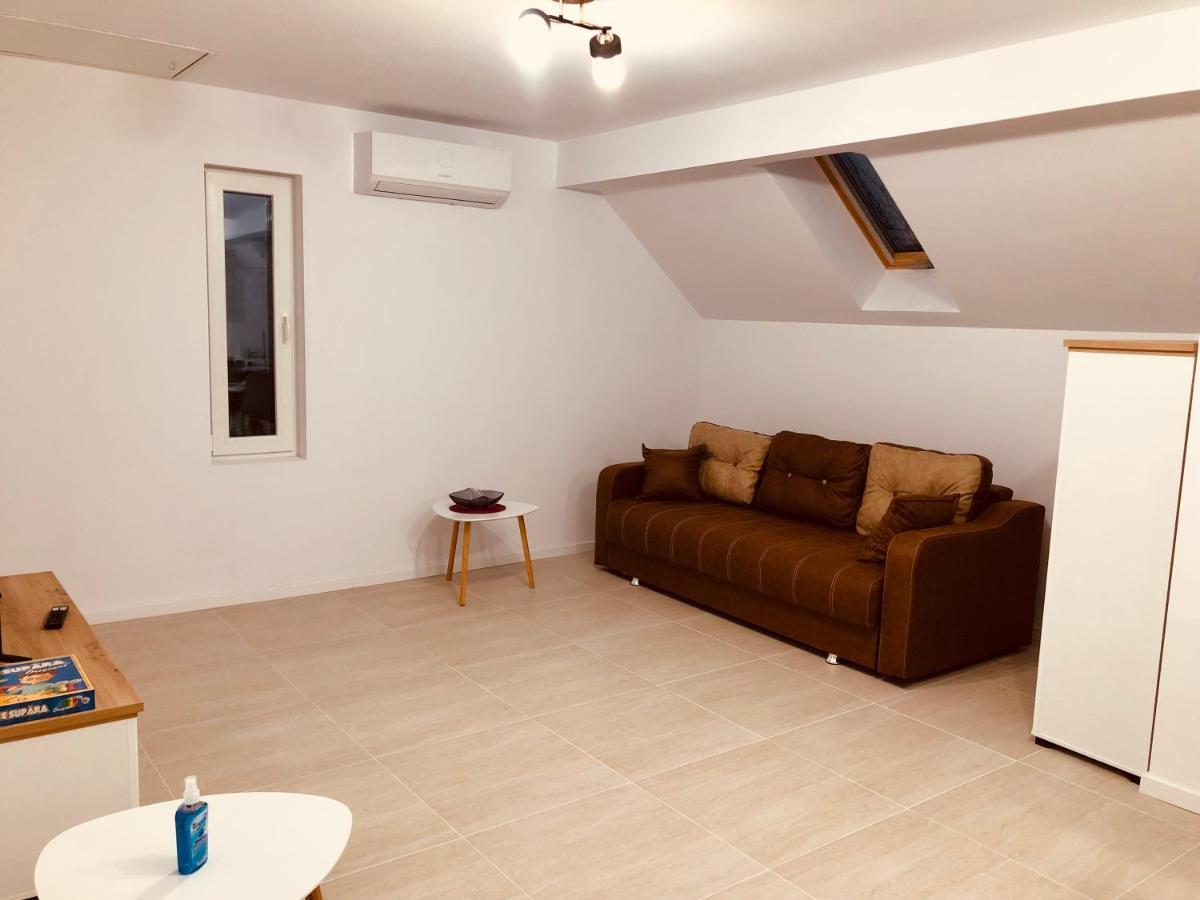 New And Modern Apartments In Villa, Near City Center M36 ティミショアラ エクステリア 写真
